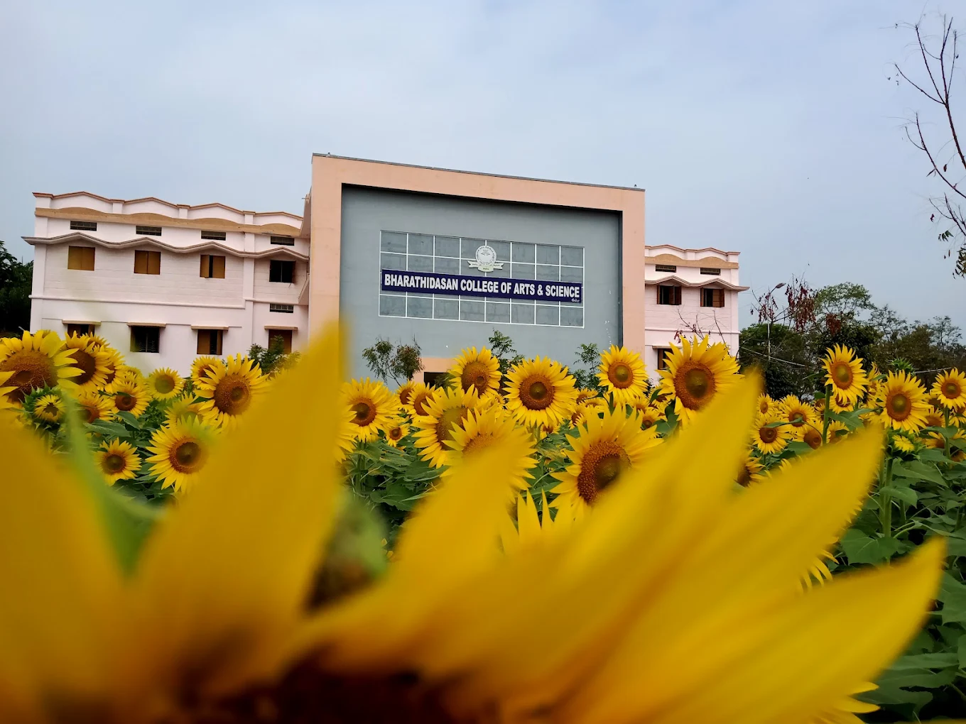 Bharathidasan College Of Arts & Science, Erode
